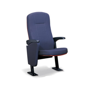 Auditorium Seating LS-6619