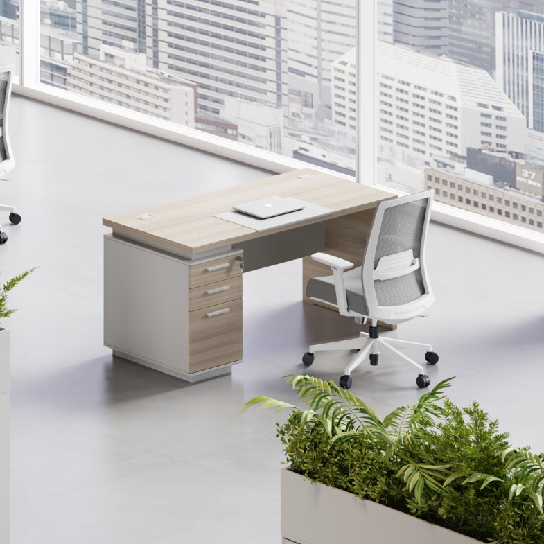 Manager Desk